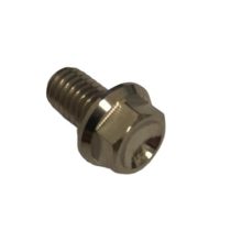 Bolt M6 x 10mm