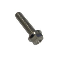 Bolt M6 x 25mm