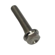 Bolt M6 x 30mm