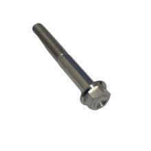 Bolt M6 x 45mm