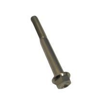 Bolt M6 x 55mm