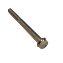 Bolt M6 x 60mm