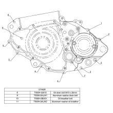 LEFT CRANKCASE BOLTS - T500H Spare parts