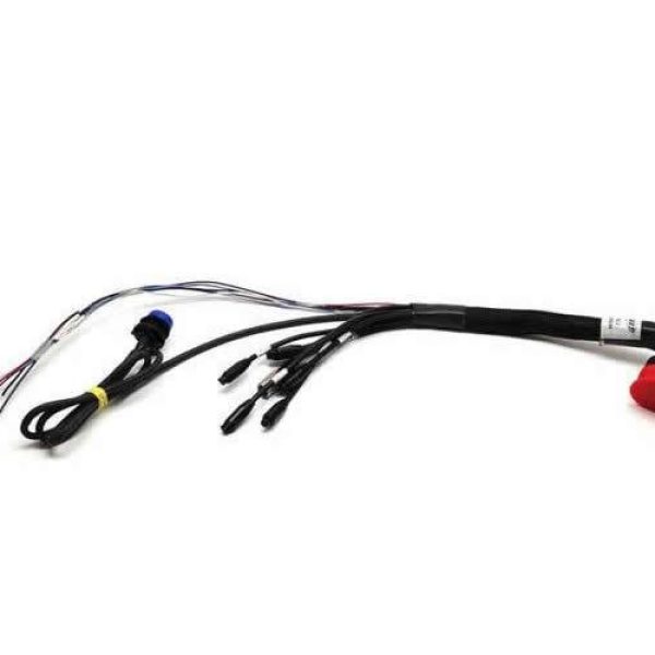 37 pin harness AiM electronic