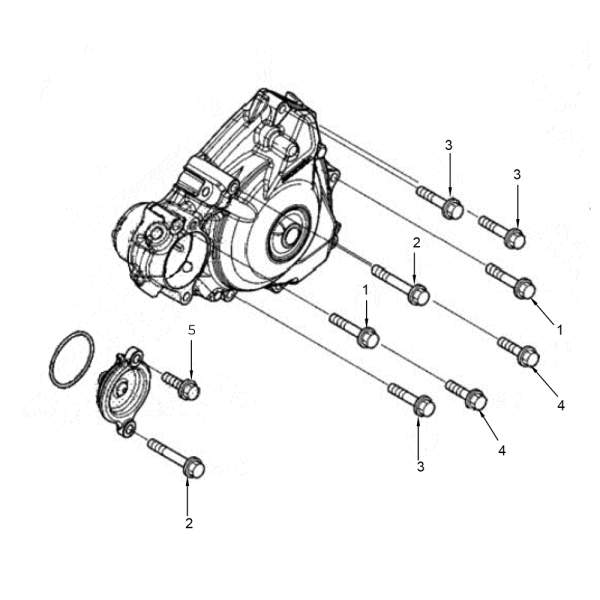 LEFT-CRANKCASE-COVER-BOLTS-2-T500H-Spare-parts