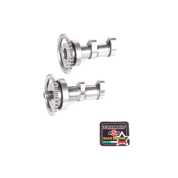dual race camshaft